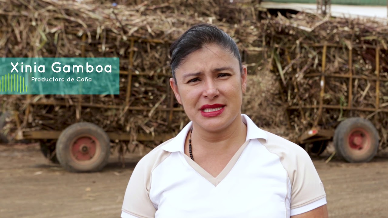 Fortalecimiento de PyMEs agrícolas del sector azucarero de Costa Rica