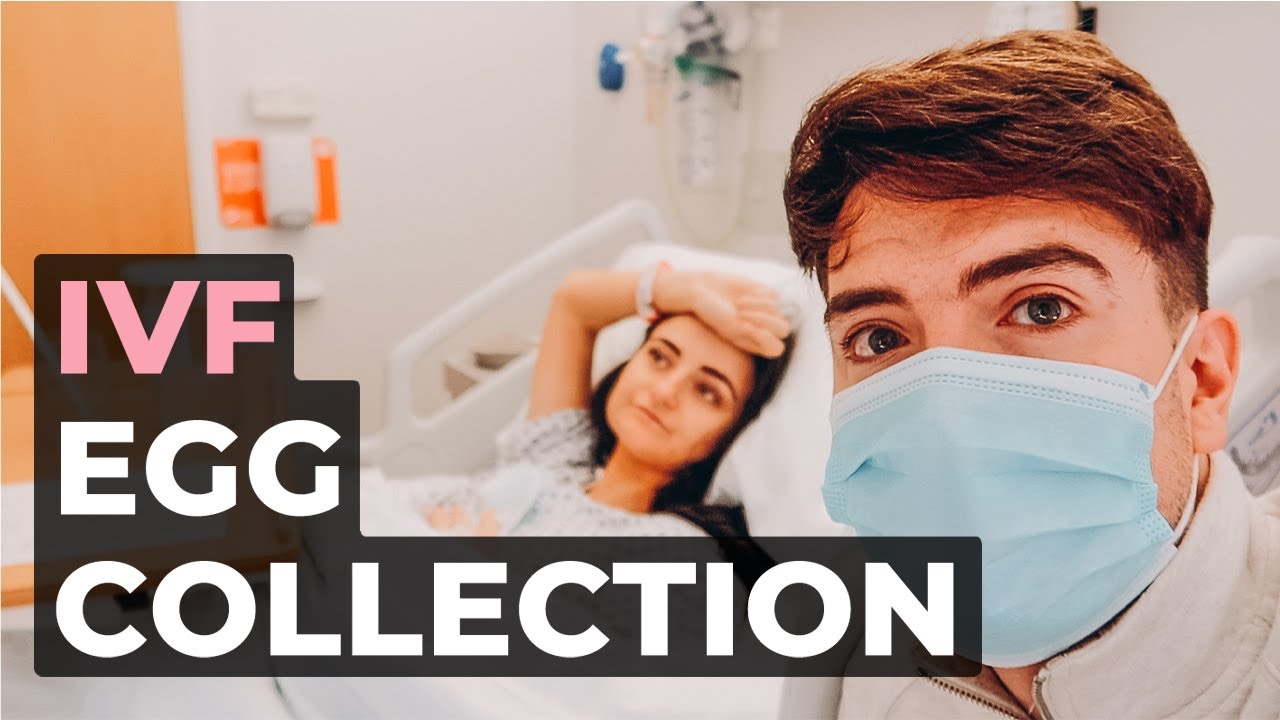 IVF Egg Retrieval VLOG | Results, Recovery & Fertilisation