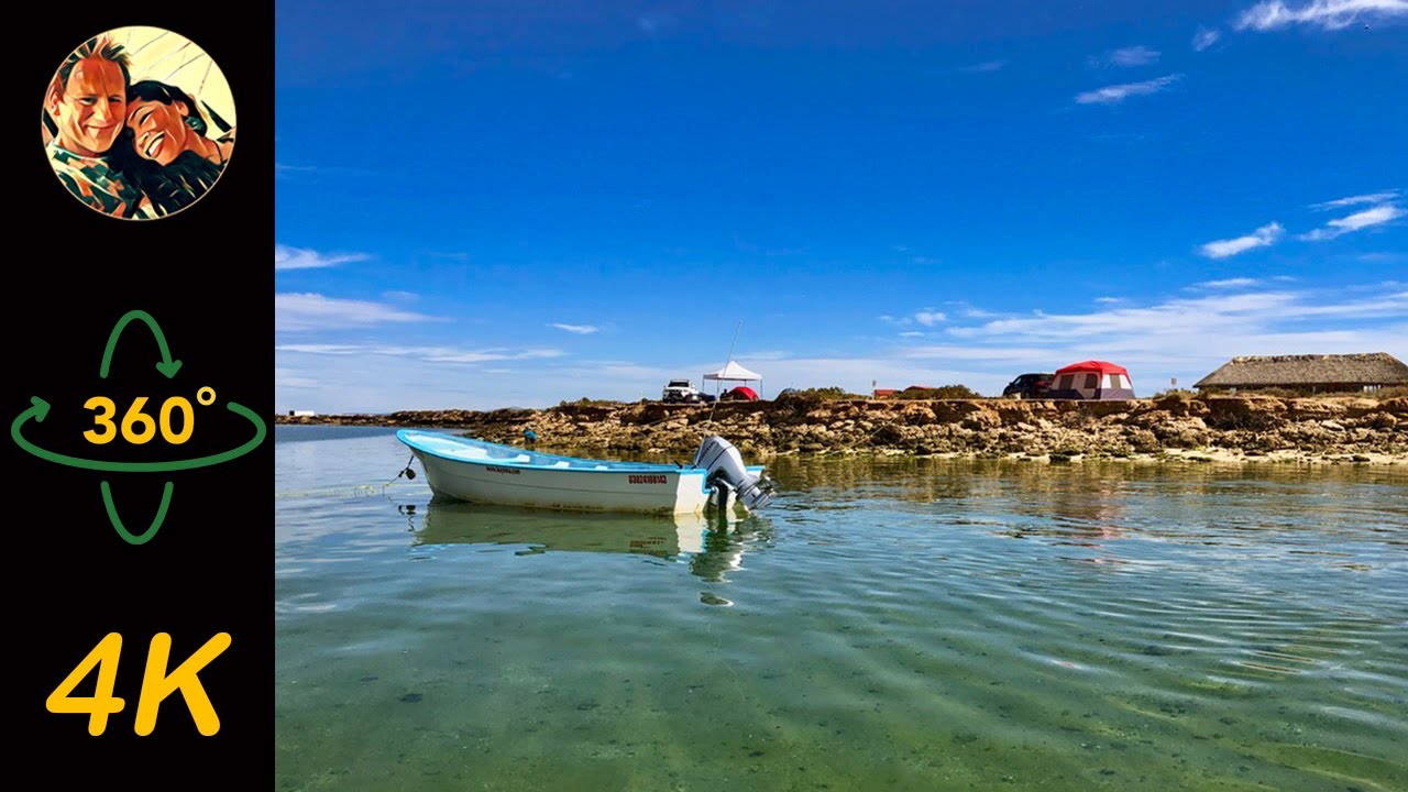Tour 33 - Whale Watching in San Ignacio Lagoon  (4K 360° Virtual Tour)