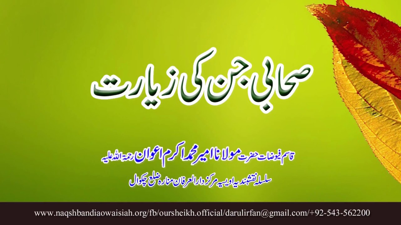 Sahabi Jinn se Mulaqat | Hazrat Maulana Ameer Muhammad Akram Awan | Silsila Naqshbandia Owaisiah