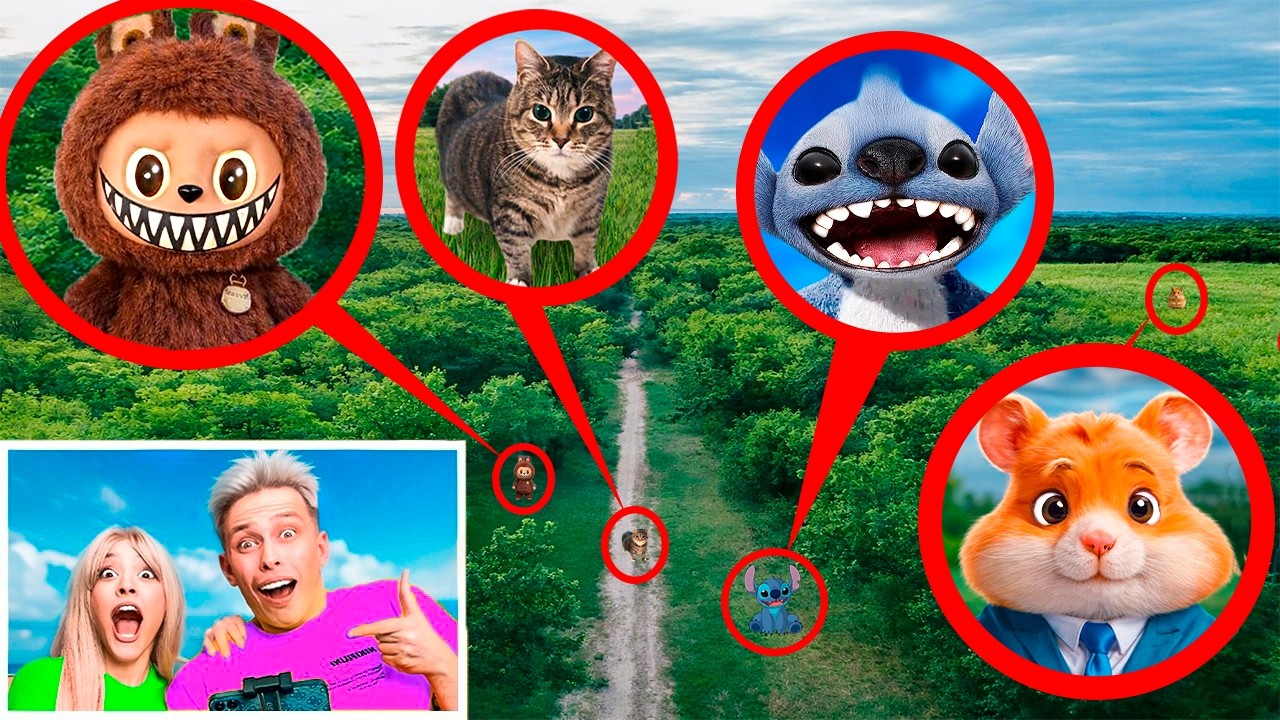 МОЙ ДРОН СНЯЛ ЛАБУБУ, OIIAOIIA CAT, СТИЧА И ХОМЯКА БОГАЧА!!!