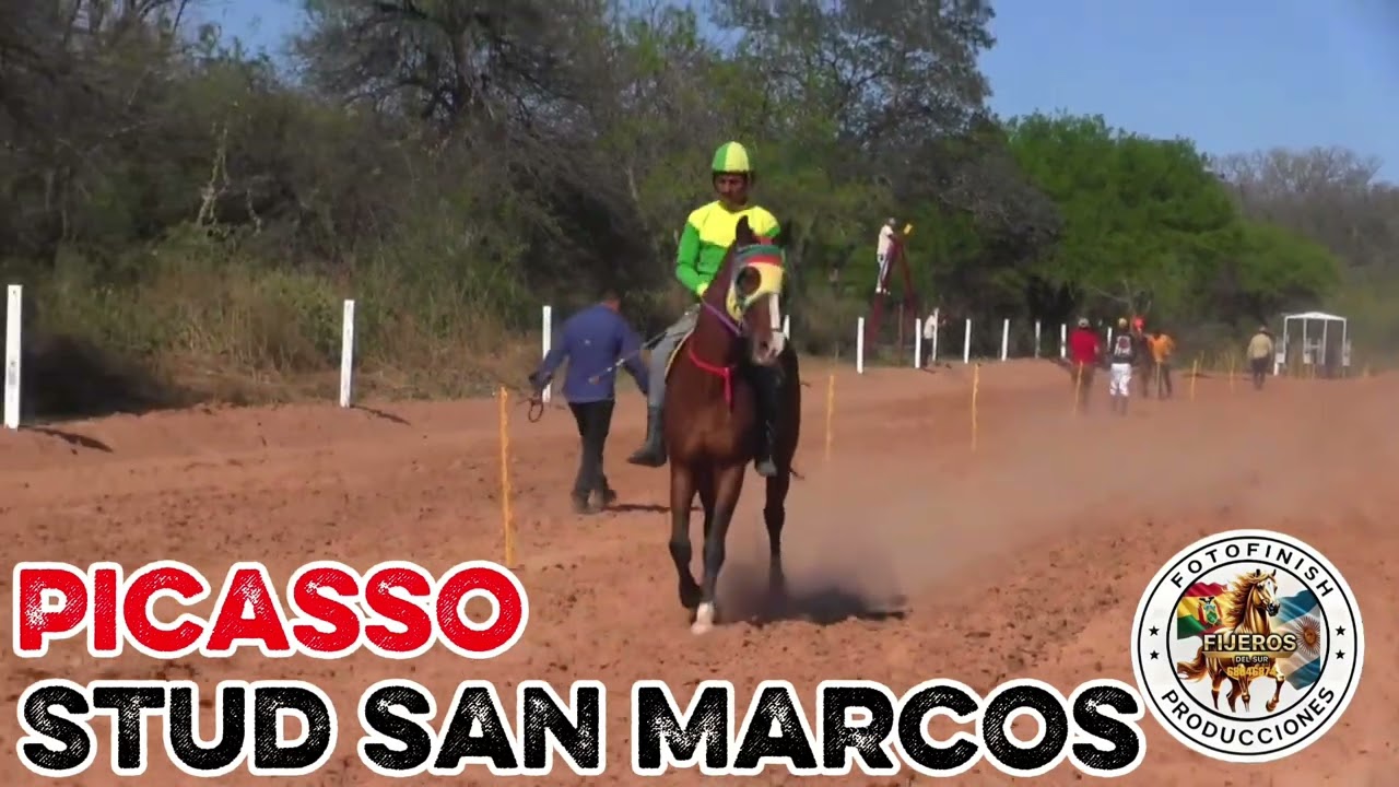 Máximo vs Picasso