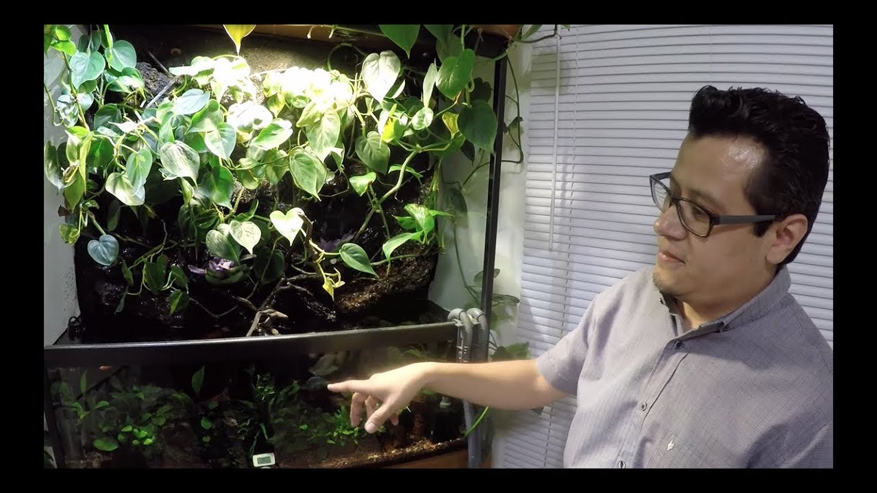 Hermoso Paludario en la ciudad de México||||||😱🐠🌿