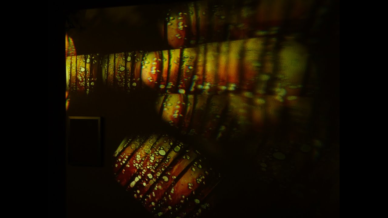 Mikrolux Lichtspiele - Visuals im Garten mit Diaprojektor