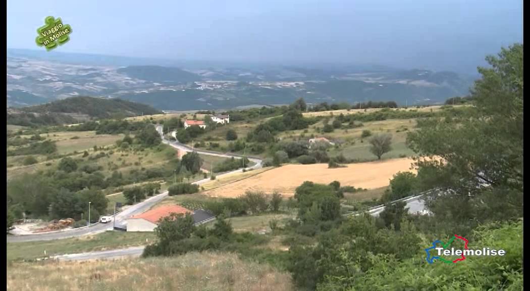 Alla scoperta della riserva Mab   03   Viaggio in Molise   Puntata 3109   Telemolise