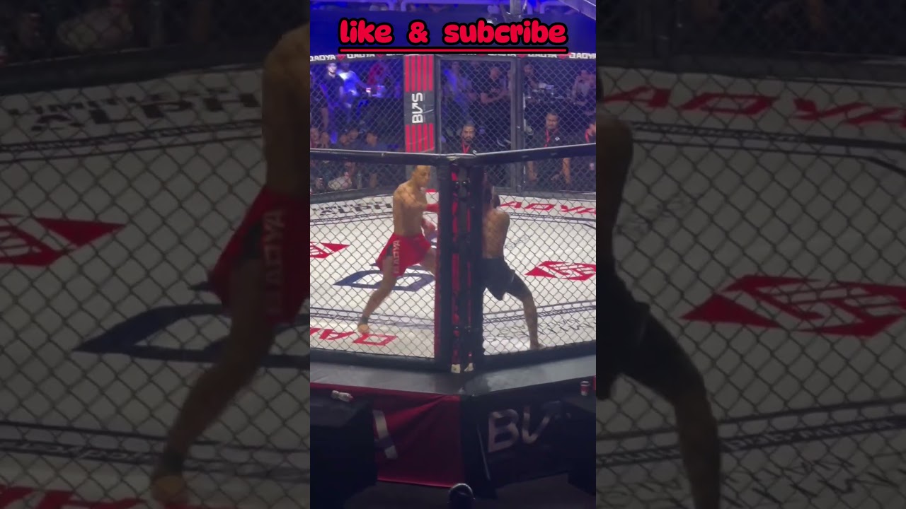 Boxing vs Karate 👊 | Real Battle Short | Power, Speed & Discipline