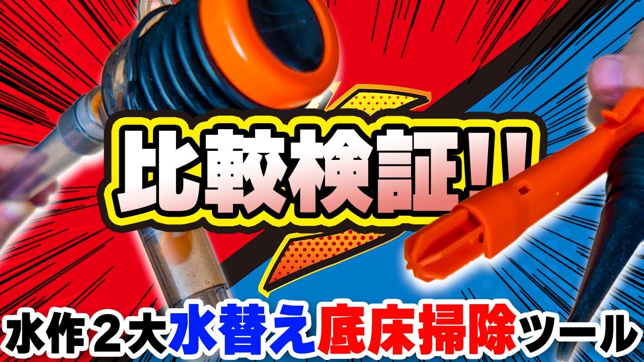 【比較レビュー】水作プロホースVSクイック水替えポンプ、同じ用途のメンテナンス用品にどんな違いがあるのか？ #アクアリウム #熱帯魚 【ビバアクア】
