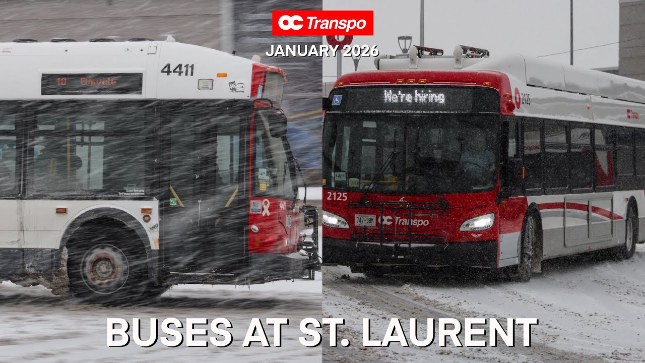OC Transpo Buses in a Snowstorm at St. Laurent Station - January 2026