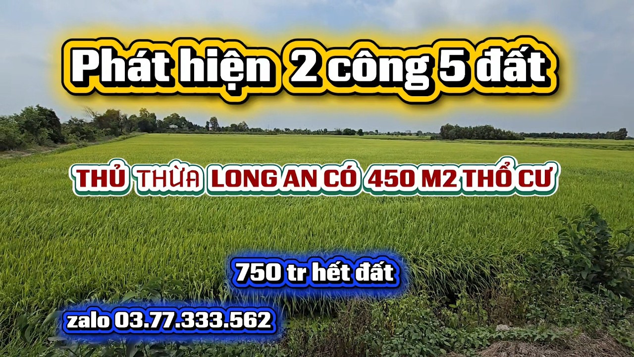 Bán 2 CÔNG  5 ĐẤT  CÓ  450 M2 THỔ CƯ  TẠI  THỦ THỪA LONG AN  GIÁ  750 TR