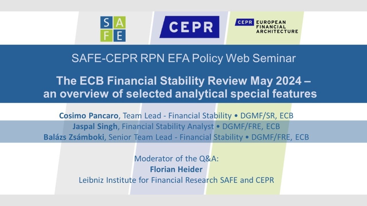 SAFE-CEPR RPN EFA Policy Web Seminar: The ECB Financial Stability Review May 2024