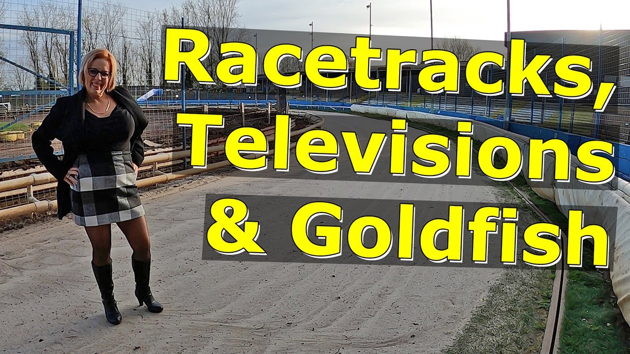 Racetracks, Televisions & Goldfish
