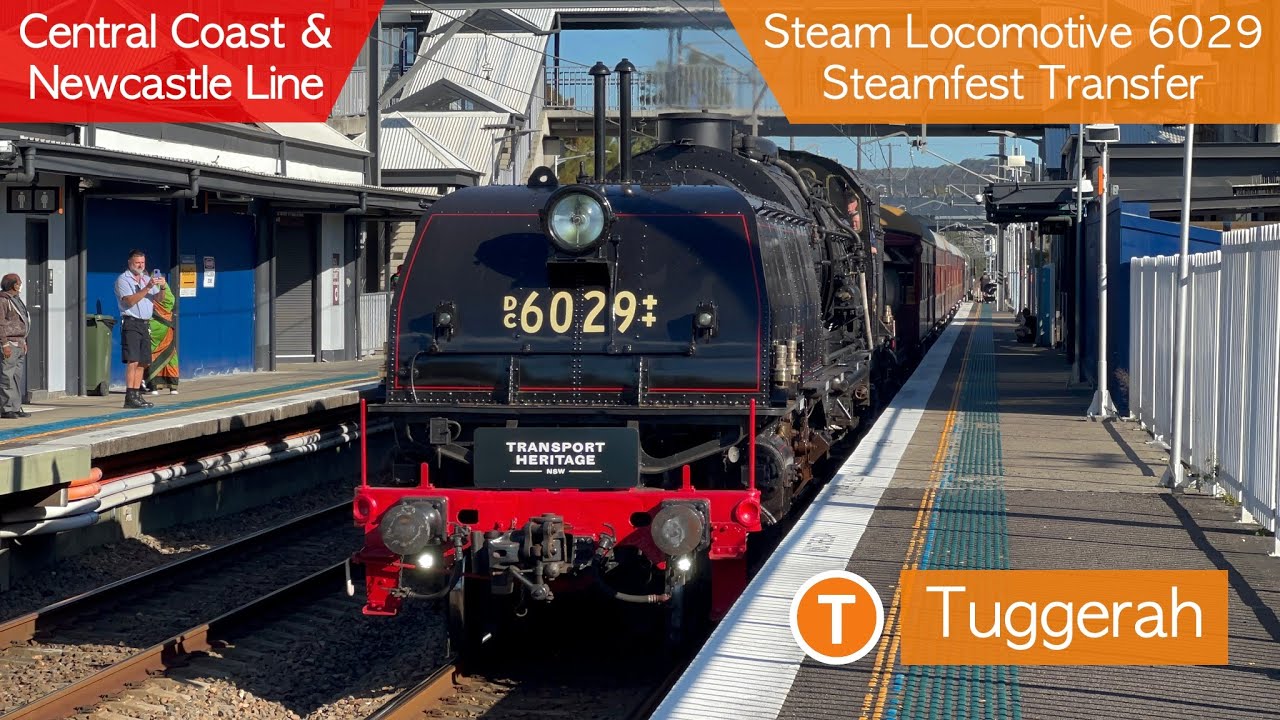 Transport for Sydney Vlog 629: Tuggerah Part 3 + Steam Locomotive 6029 Steamfest Transfer