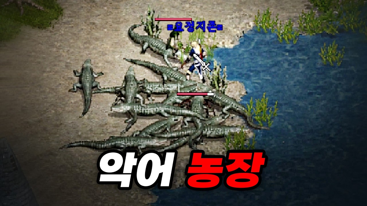 불법 악어 농장 해방 작전