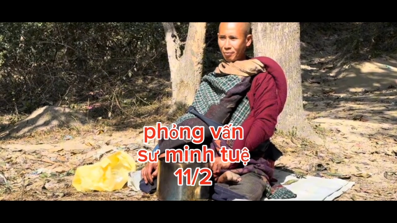 Sáng nay phỏng vấn Sư minh tuệ. 11/2.#trưởngtv