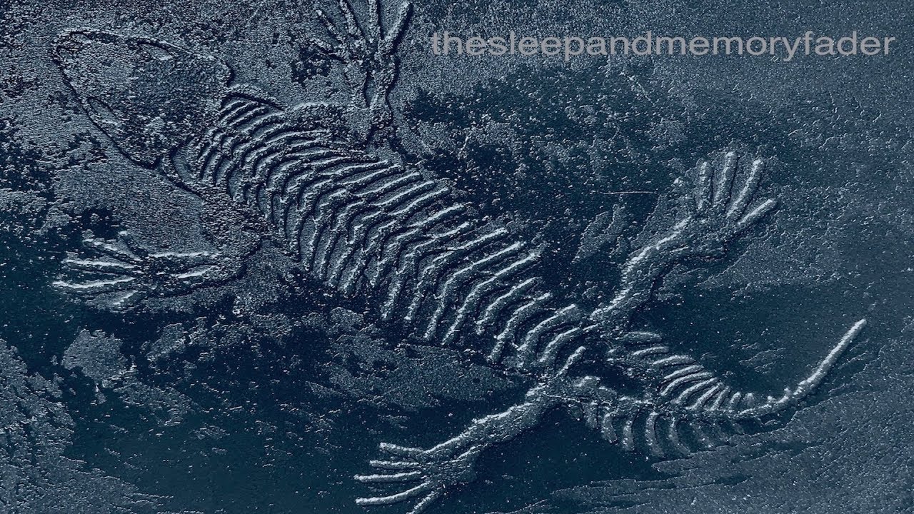 the sleep and memory fader - amos [Full Album]