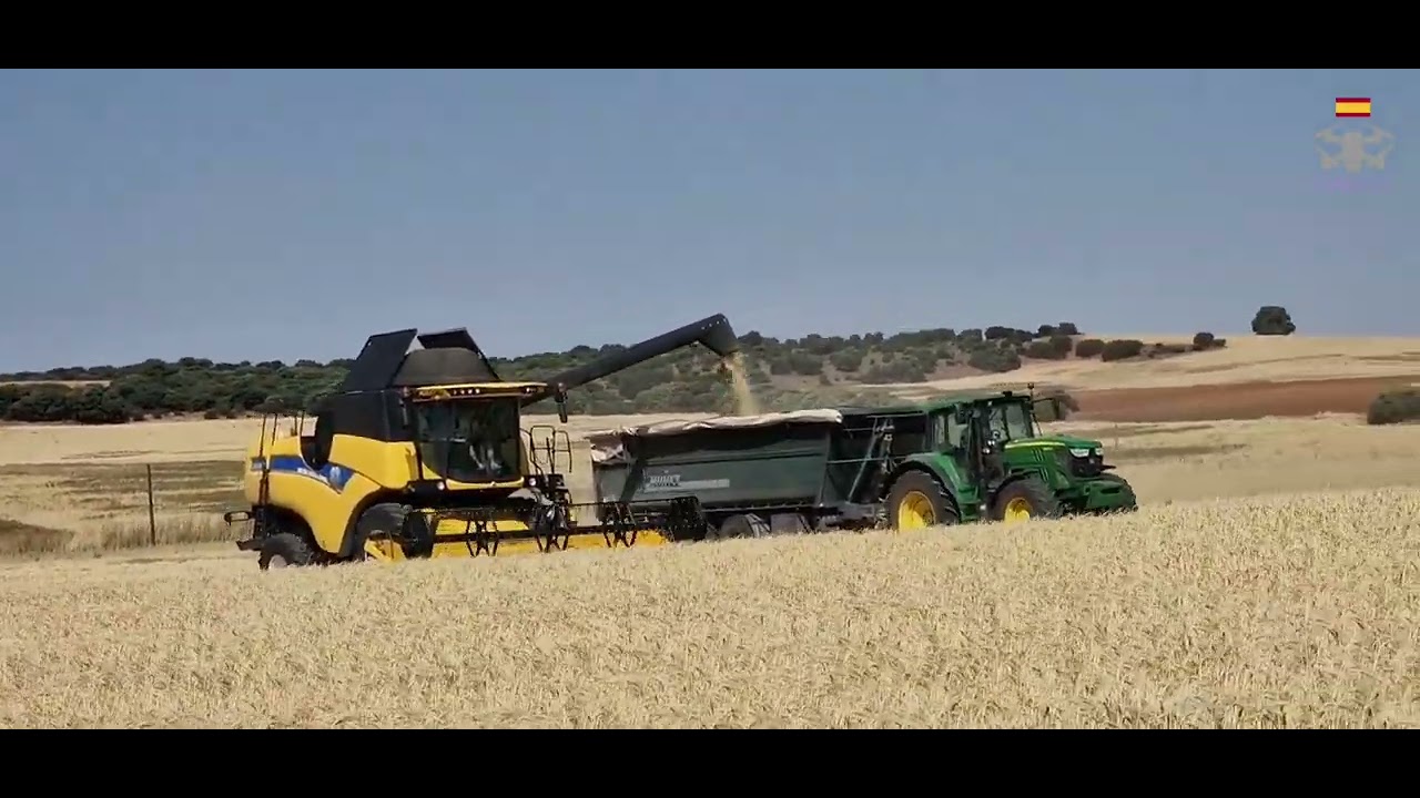 Siega 2025 en Hontanaya, Cuenca, Castilla la Mancha, España.