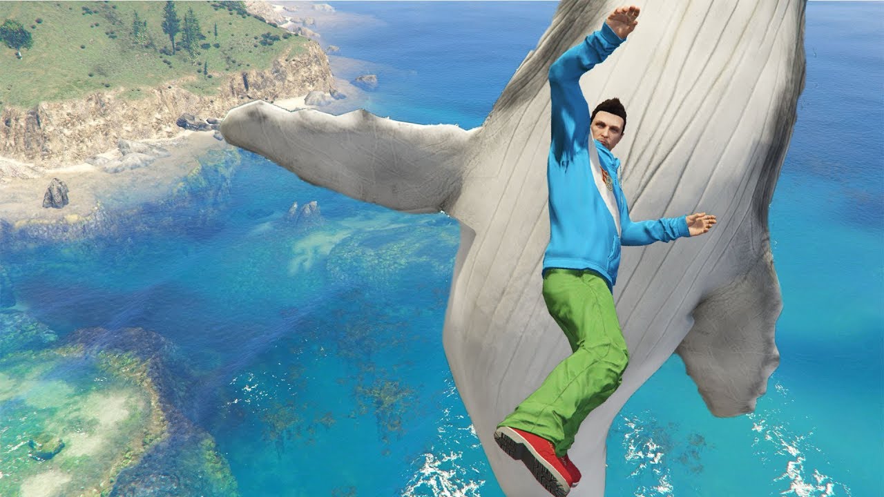 GTA 5 Water Fails | Ragdolls vol.55 (Euphoria physics)
