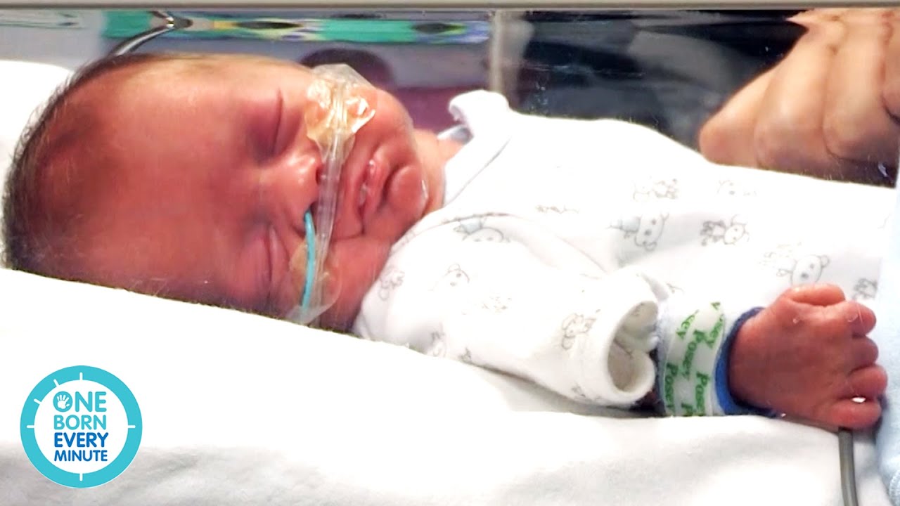 Premature Baby Being Held in Special Care... | One Born Every Minute