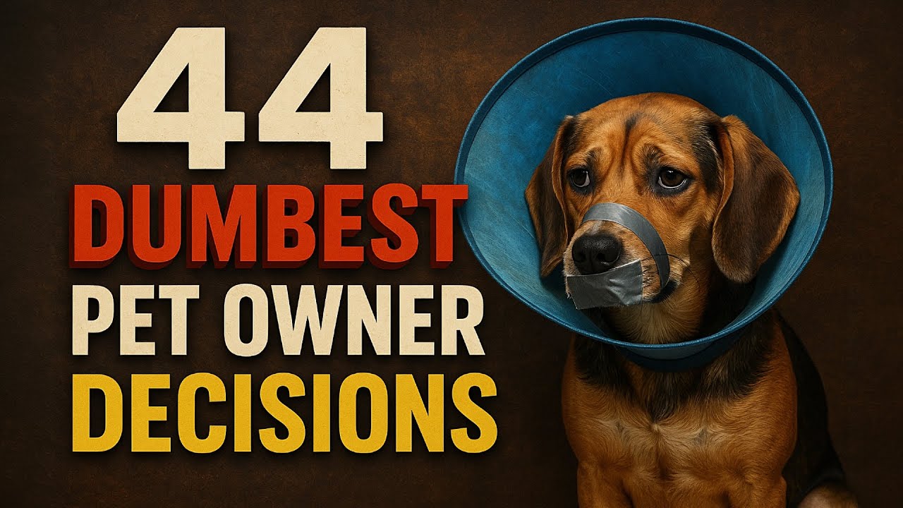 44 Dumbest Pet Owner Decisions That Confused Veterinarians