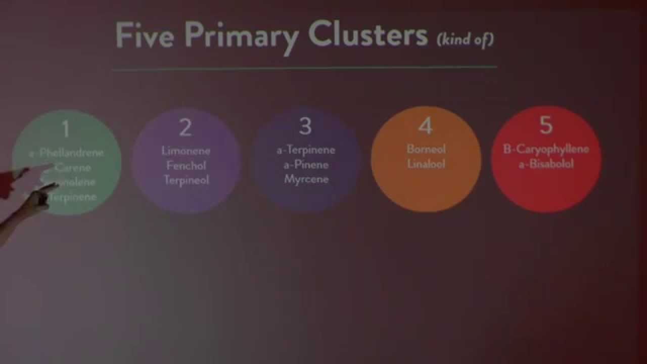 Cannabis Science Pub Sept 2015 High Numbers Part 3 Steve Albarran Statistical Analysis of Potency