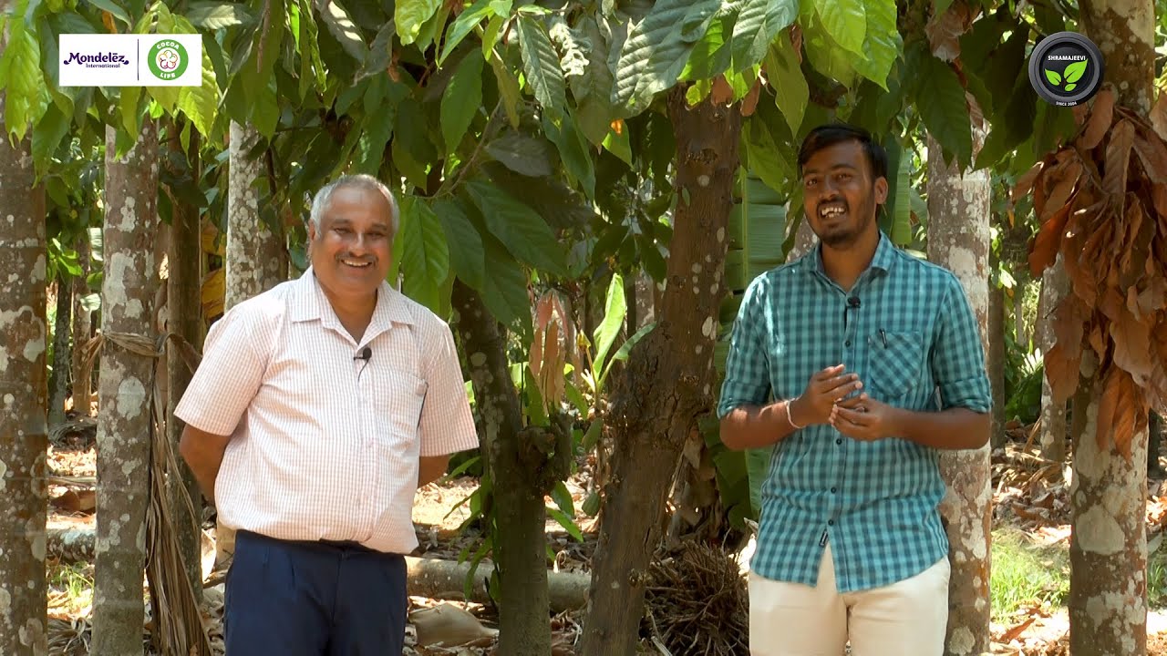ಎಲ್ಲೆಡೆ ಅಳಿದರು ಇಲ್ಲಿ ಉಳಿದು ಬೆಳೆದ ಕೋಕೋ - ಶ್ರೀ ಮಹೇಶ ತೇಲಂಗ್ | 3 Decades of Coco | Economics of Coco |