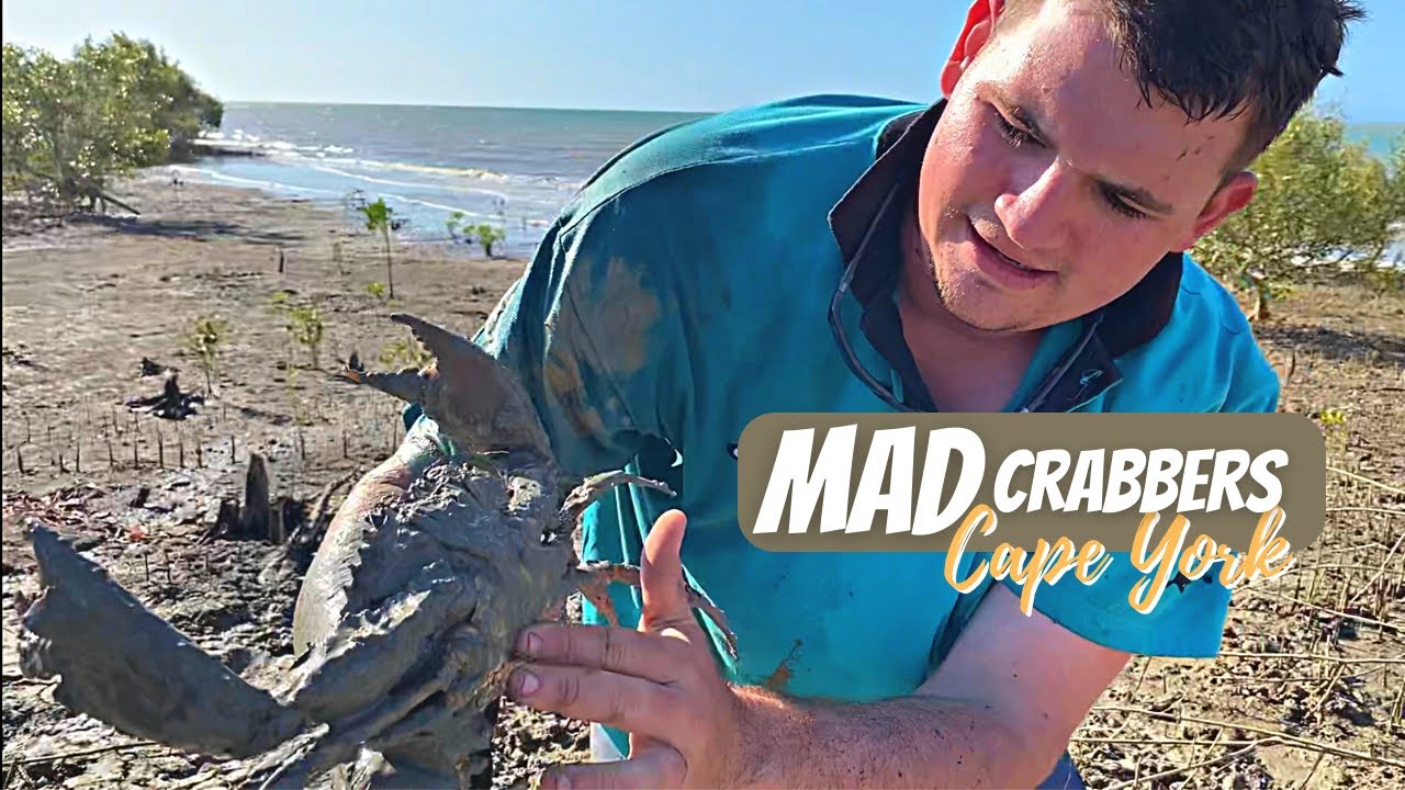 Giant Mudcrabs - Dangerous Way To Catch Crabs