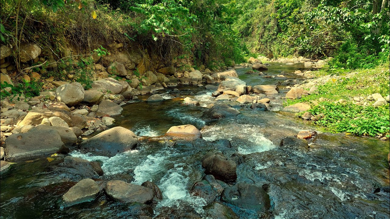 Soothing Water Sounds & Deep Relaxation • Tranquil Forest River in a Quiet Green Valley