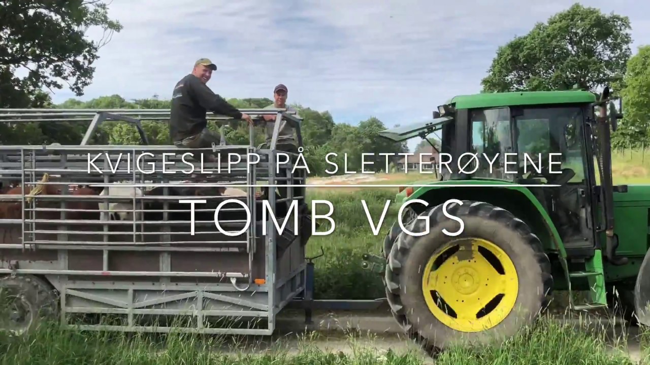 TOMB VGS - KVIGESLIPP