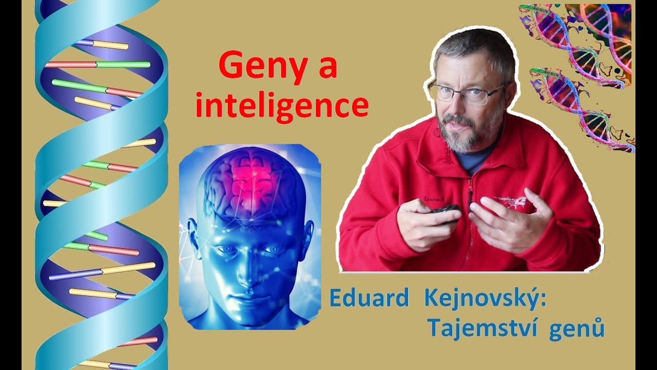 Dědí se inteligence? (Tajemství genů 98)