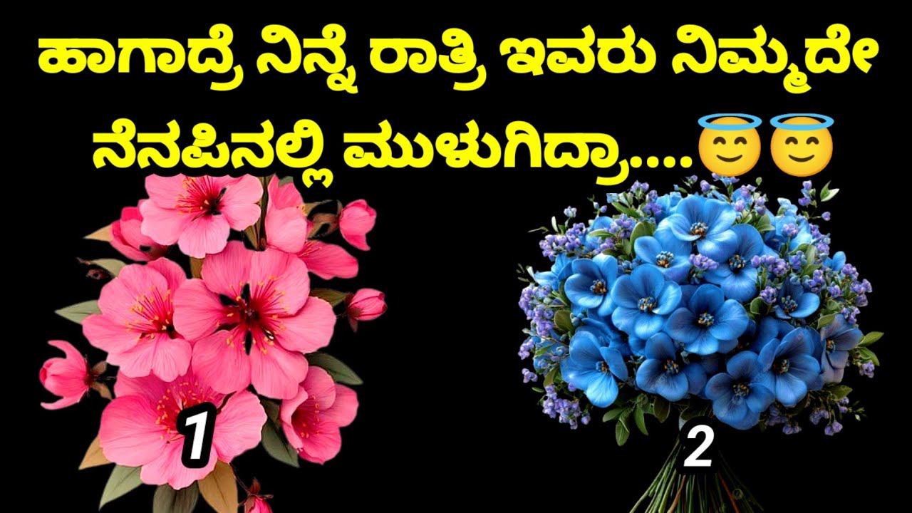  ಅವರನ್ನು ನೆನೆಸಿಕೊಂಡು ಒಂದು ಹೂವನ್ನು ಆರಿಸಿ.ನಿನ್ನೆ ರಾತ್ರಿ ಅವರು ನಿಮ್ಮ ಬಗ್ಗೆ ಏನು ಯೋಚಿಸುತ್ತಿದ್ದರೆಂದು ನೋಡೋಣ 