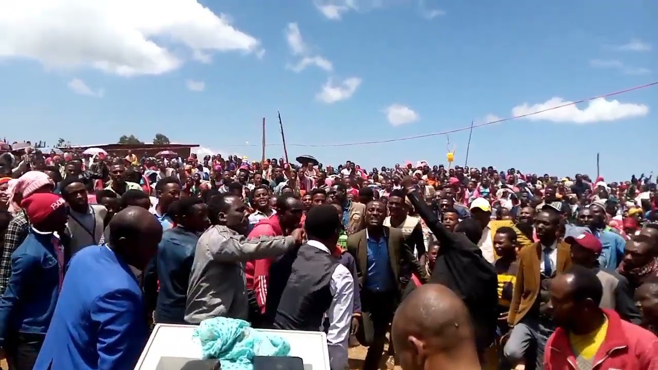 gedeo song (zeleke Alemu)yirgachefe
