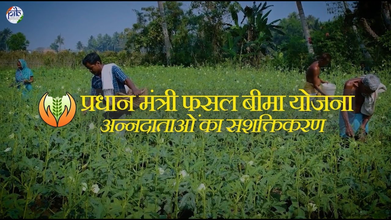 प्रधानमंत्री फसल बीमा योजना - अन्नदाताओं का सशक्तिकरण🌾#PMFBY