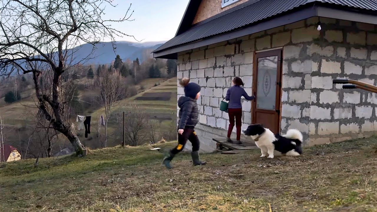 ✨Зимняя деревенская жизнь - животные, ужин и рождественская атмосфера (41 мин)