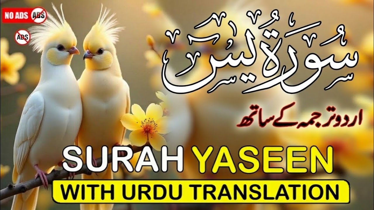 Surah Yaseen with Urdu Translation | Heart-Touching Recitation by Qari Ismail Al Nouri | Episode 378