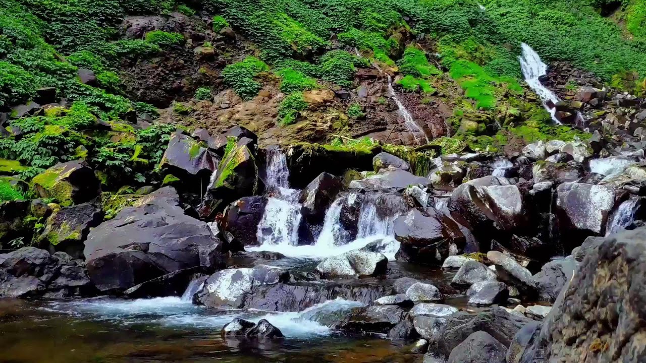 River Water Flow Sound – Emotional Therapy for Healing Anxiety and Sleep