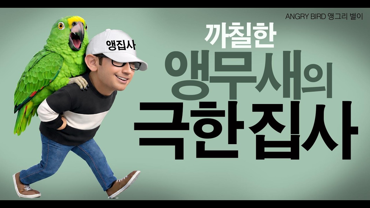 앵무새 절대 키우지마세요!! / 삐진 앵무새 달래기 / 극한 앵집사  / 앵무새가 개콘보다 더 웃기다!!  / 사람과 대화 가능 앵무새 / ANGRY BIRD