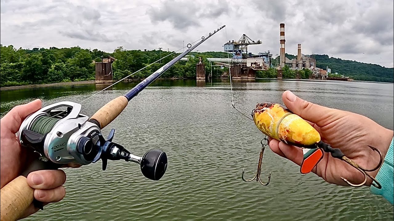 Industrial River MUSKY Fishing - My BEST DAY Yet?! MONSTER AFTER MONSTER