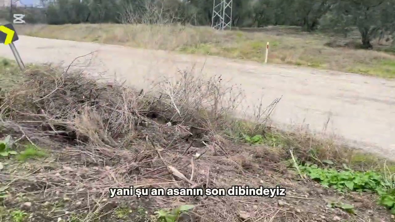 BALIKESİR BANDIRMA MISAKÇA MAHALLESİNDE SATILIK BAĞ NİTELİĞİNDE TARLA ANA ASFALT YOLA CEPHELİ
