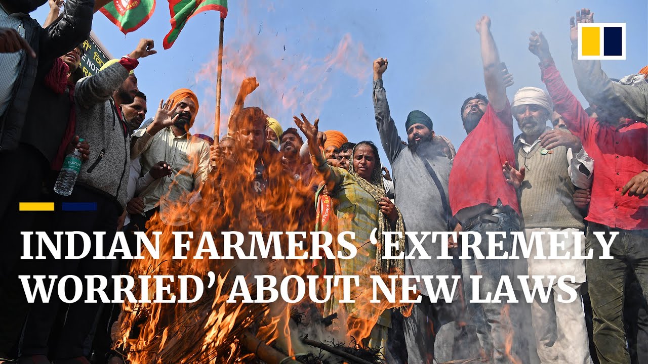 &lsquo;Our children will starve&rsquo;: Indian farmers defend protests against new laws as workers join strike