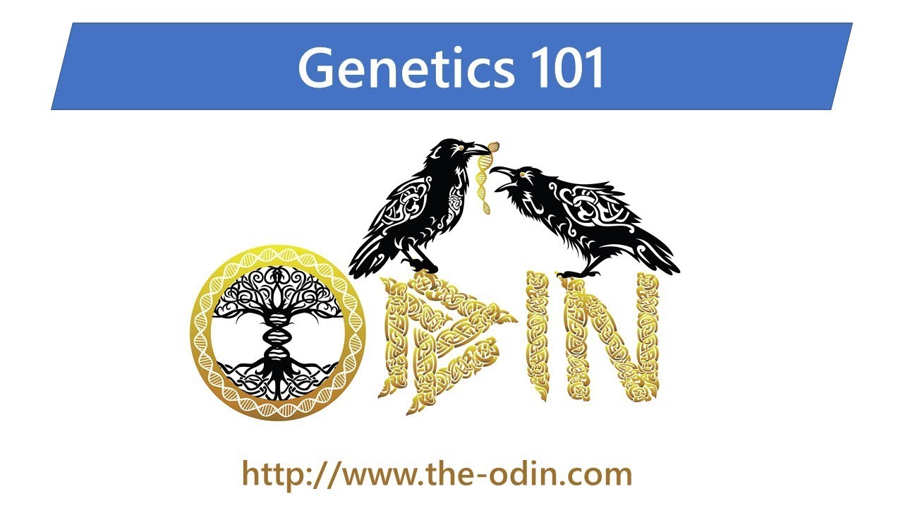 Genetics 101 - Class 1