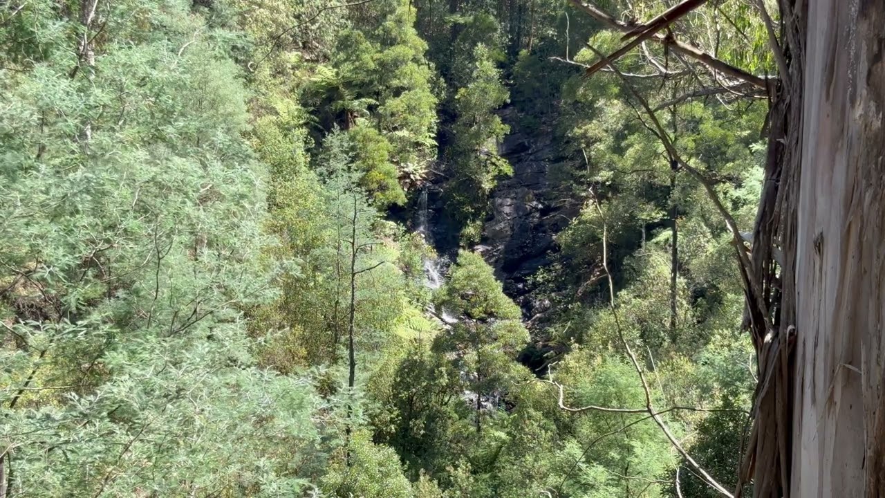 5 Minutes Of Natures Healing Energy 🌿| Wombelano Falls, Kinglake West 🤍🌬️