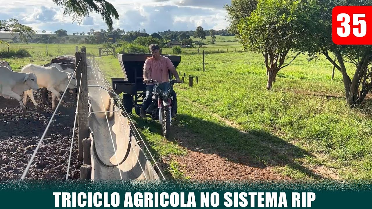 TRICICLO AGRICOLA NO SISTEMA RIP