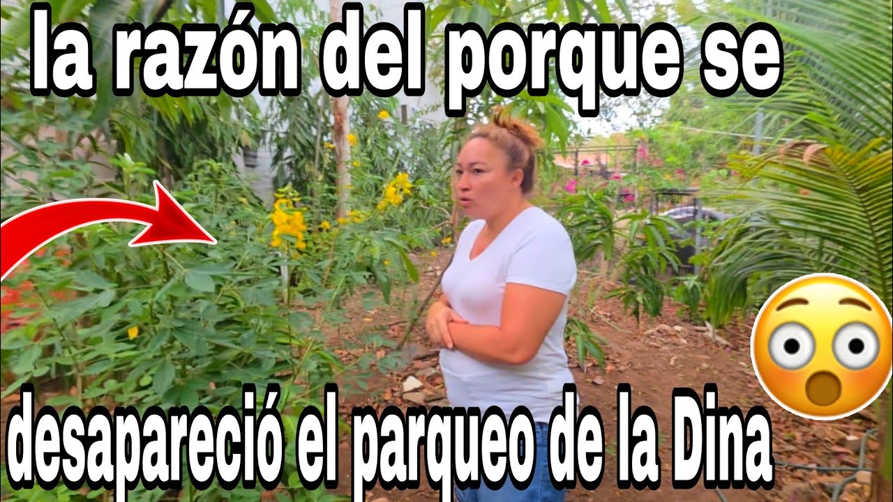 Quiere Dina recuperar la perdida del parque la razón del porque lo perdí😭