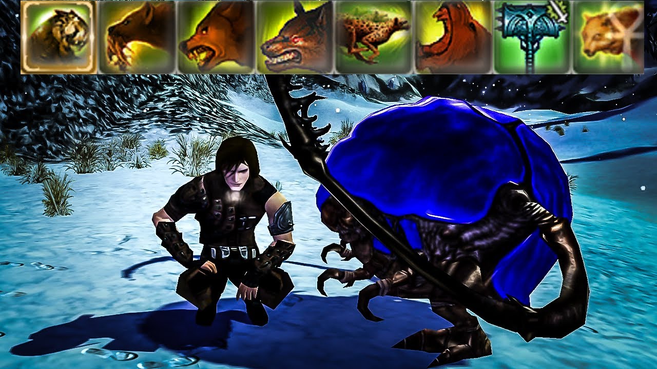 Builds Explained - Ranger/Any Beastmaster [Guild Wars]