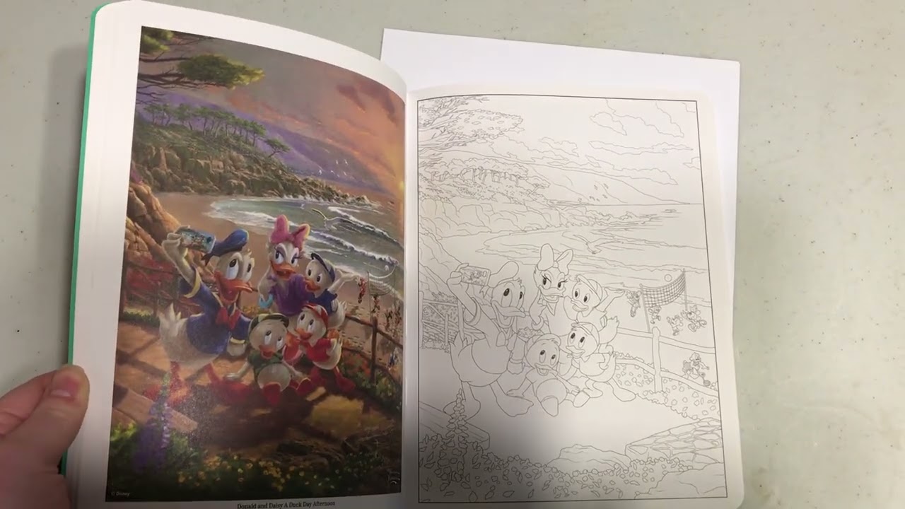 Disney Dreams Collection Thomas Kinkade Studios Celebrations! Beautifully made! Take a look!