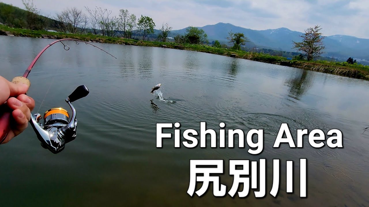 フィッシングエリア尻別川！ 表層でBIG FIGHT!!【北海道 エリアトラウト】