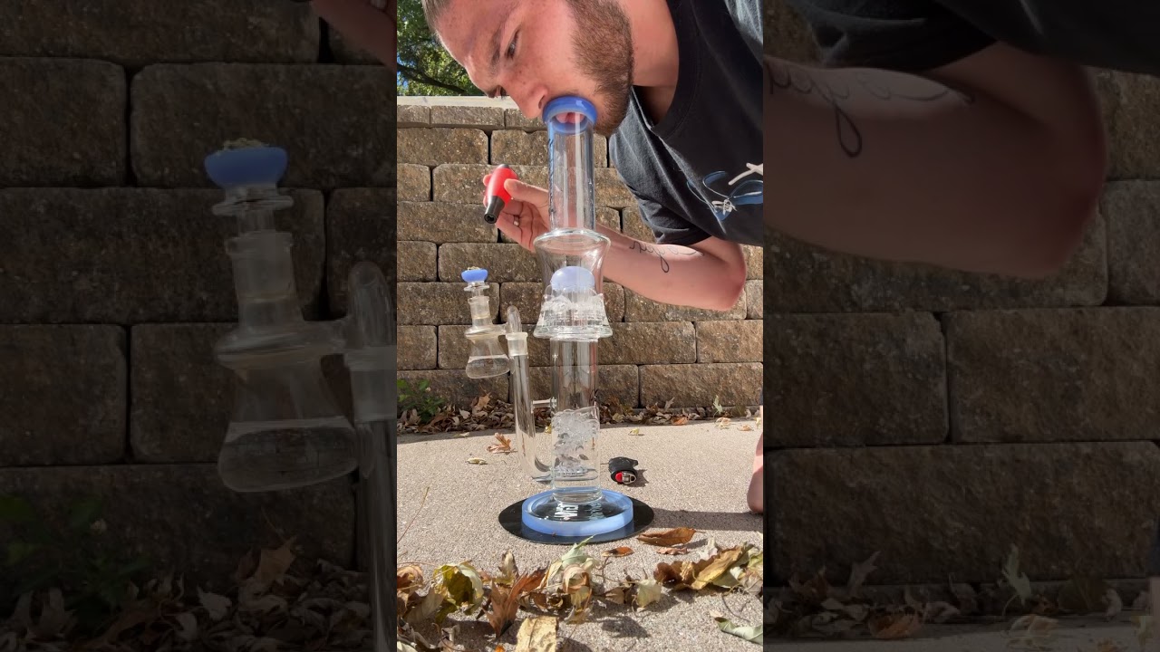 Sunlight Terp Tube hit #highlife #bonghits4subs