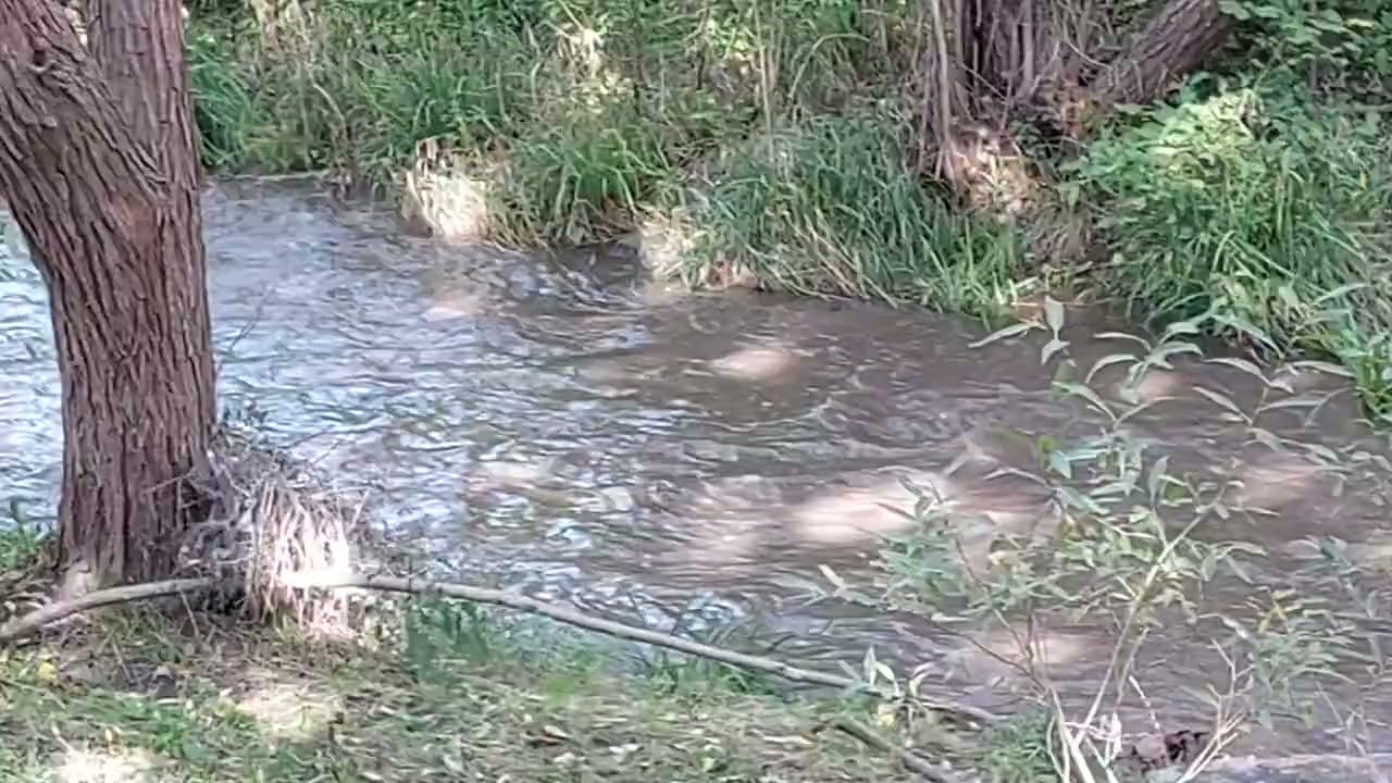 Water means Life CCCXLVIX💚💙💙💙