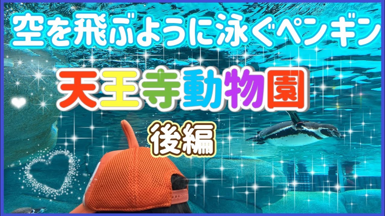 【後編】天王寺動物園の新施設を紹介♪♪