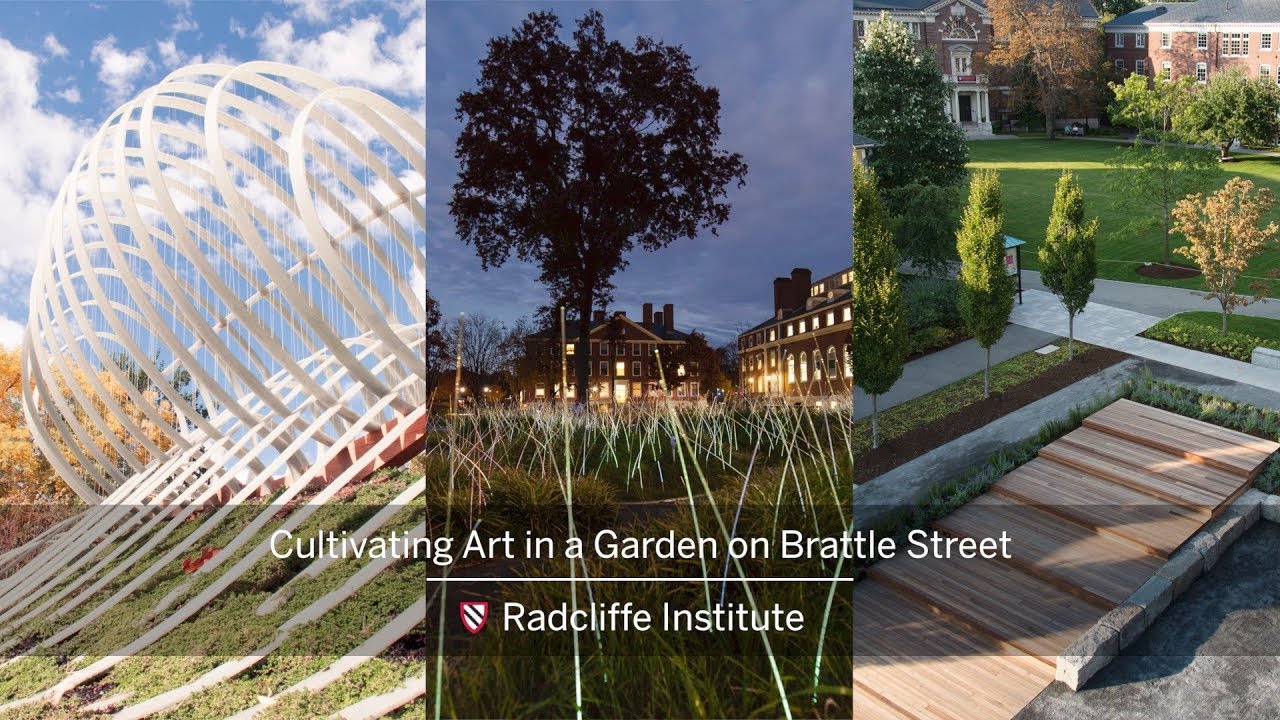 Cultivating Art in a Garden on Brattle Street || Radcliffe Institute